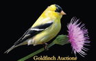 Goldfinch Auctions