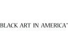 Black Art In America
