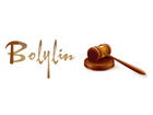 Bolylin Auction LTD
