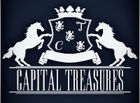 Capital Treasures Ltd