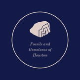 Fossils & Gemstones of Houston