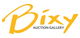 Bixy Auction Gallery