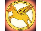Ben Ami Endres