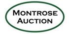 Montrose Auction Inc