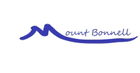 Mount Bonnell Auction Gallery