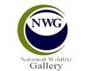 National Wildlife Gallery