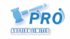 Pro Auction Ltd