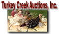 Turkey Creek Auctions