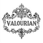 Valourian LLC