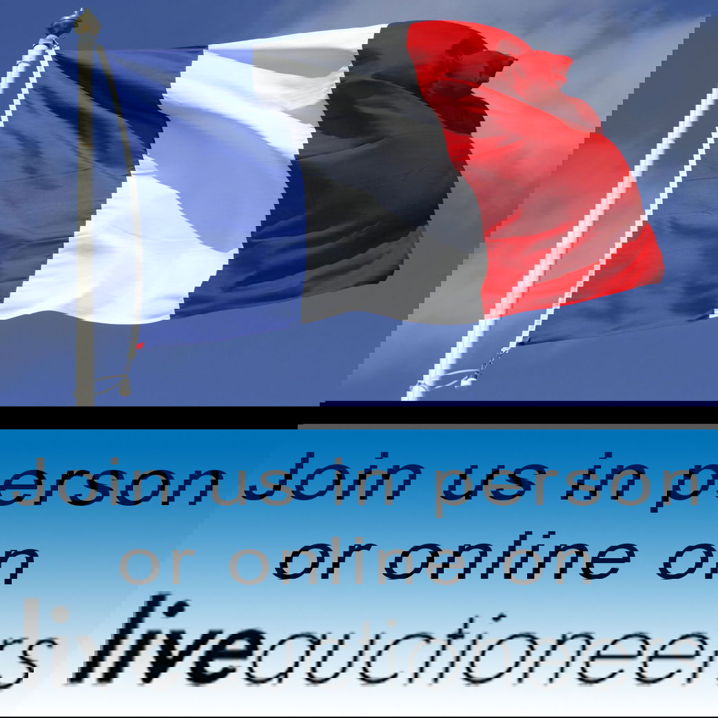 French & European Antiques! preview