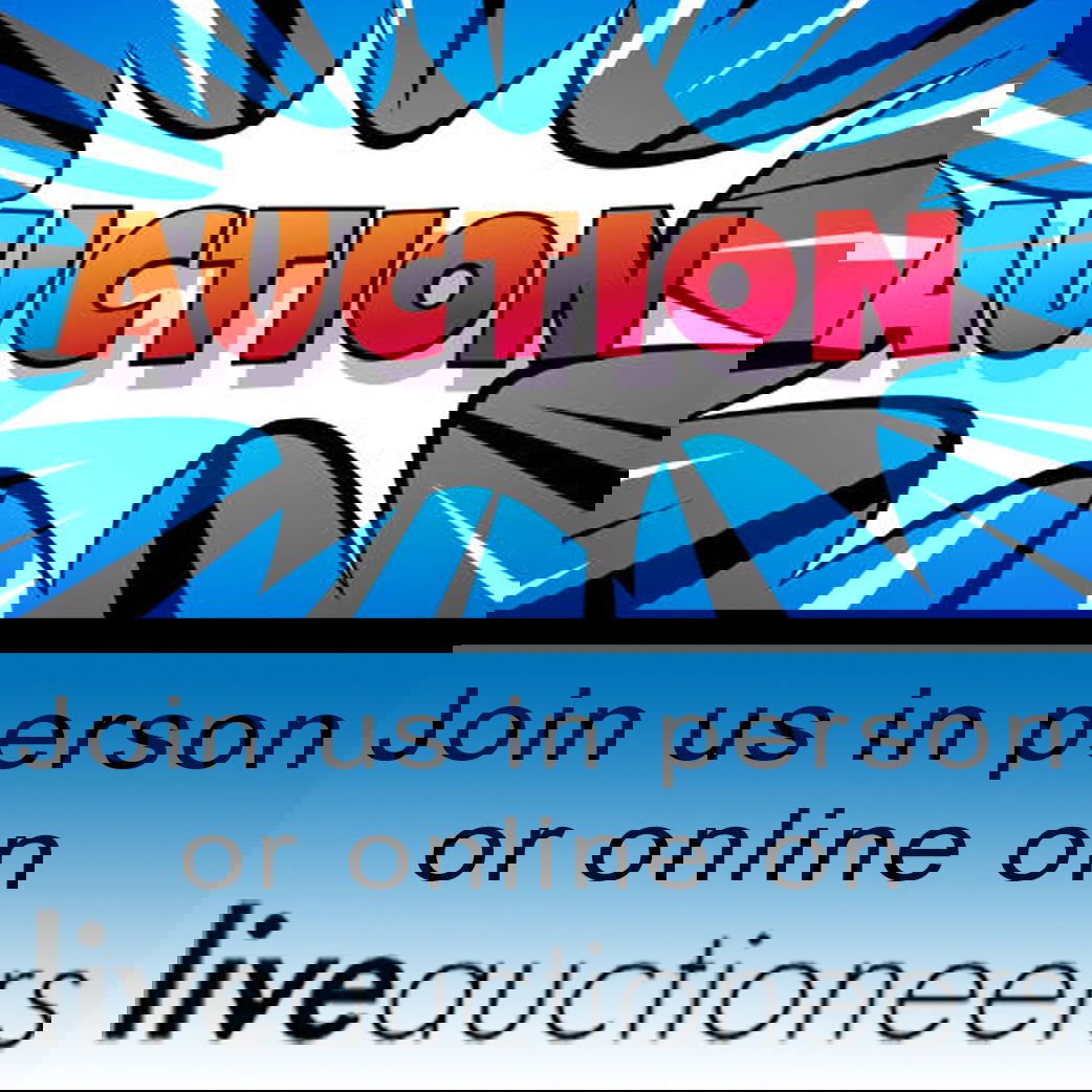 Fun, Exciting Auction Event - Details Coming Soon!  preview