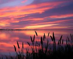 April 15th : Auction is Coming Soon preview