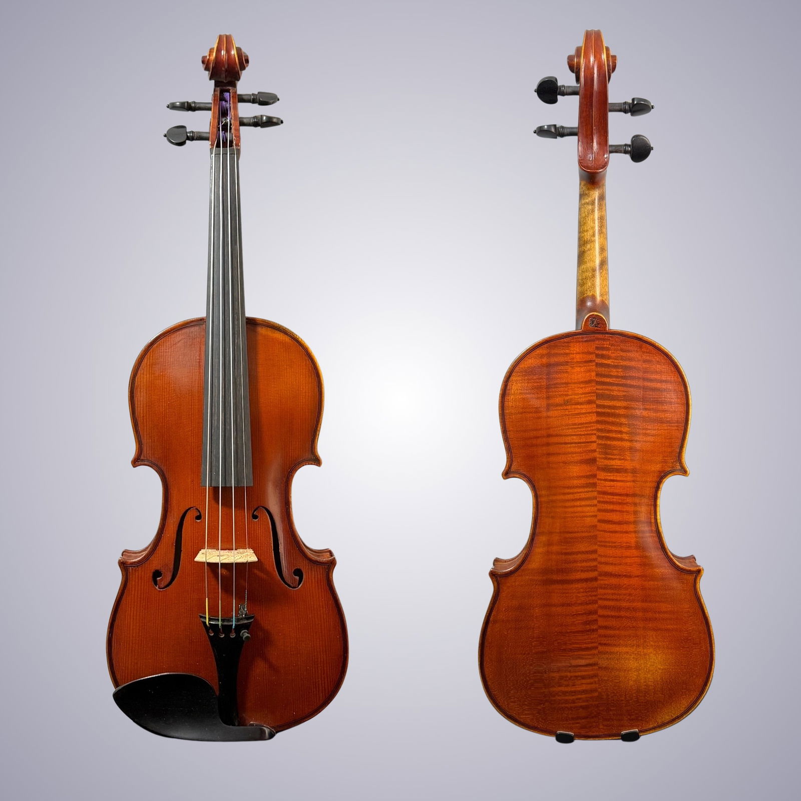 Stringed Instruments - Spring 2025 preview