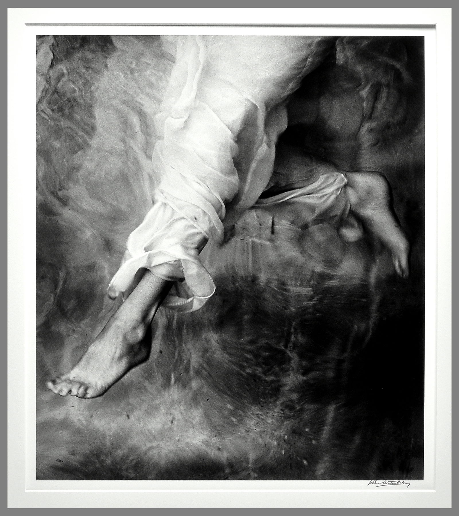 Estate of Photographic Treasures preview