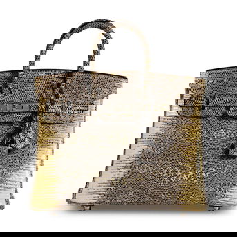 Hermès: Ombre Lizard Birkin 25 2010