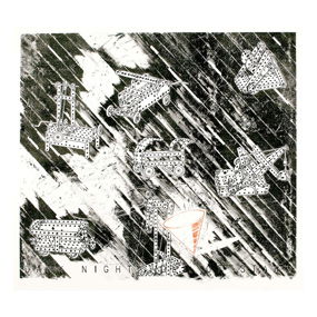 Vernon Fisher, Dark Night Full of Stars