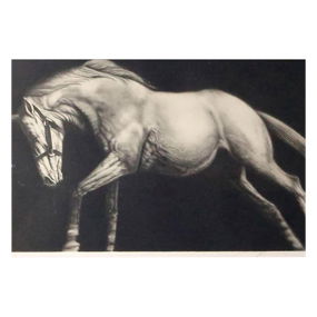 Joseph Piccillo, Edge Event I