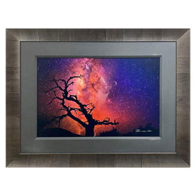 Peter Lik, “Tree of the Universe” Framed Limited Edition Photograph, Numbered 282/950
