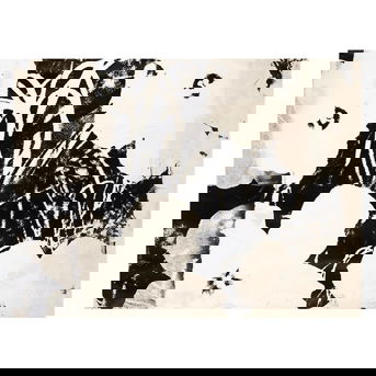 Andy Warhol (1928-1987); Flowers