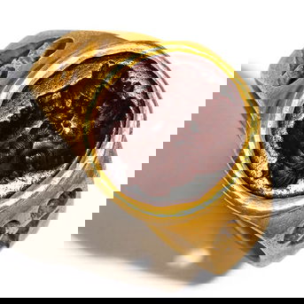 A Roman Gold and Red Jasper Ring with a Gryllos