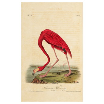 The Birds of America John James Audubon, 1840–1844