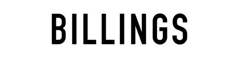 Auctioneer logo