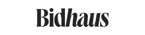 Auctioneer logo