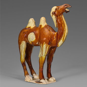 A Large Amber and Cream-Glazed Pottery Figure of a Bactrian Camel