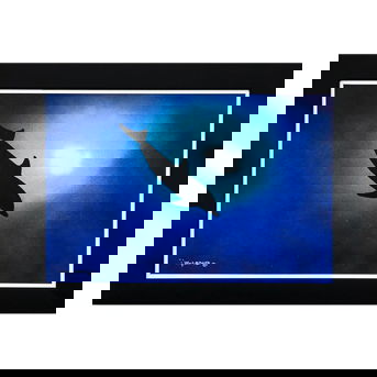 Wyland- Original Painting on Canvas “Dolphin”